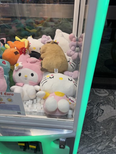 Elisa review author avatar